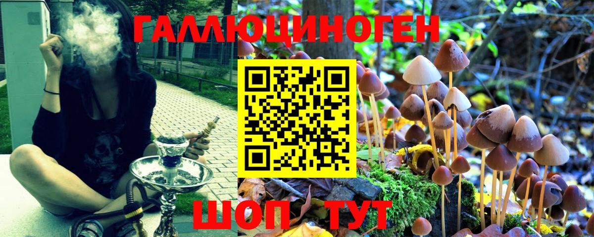 Псилоцибиновые грибы MAGIC MUSHROOMS Нягань